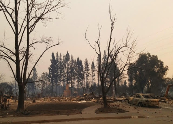 Our House Just Burned Down—Along With the Rest of Our Santa Rosa ...