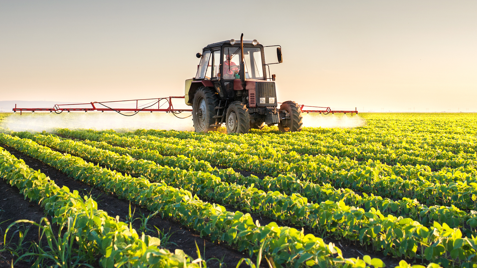 Arkansas Moves to Ban Monsanto’s Blockbuster Herbicide – Mother Jones