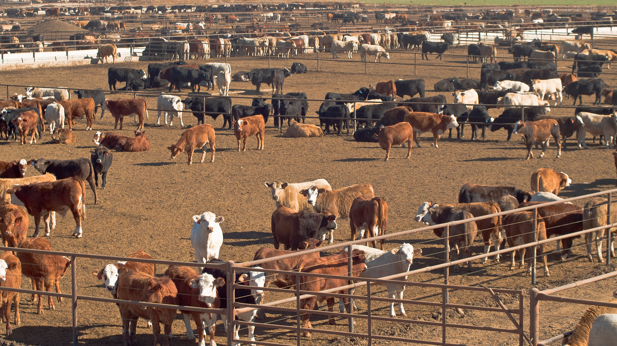 Types Of Animal Farming System