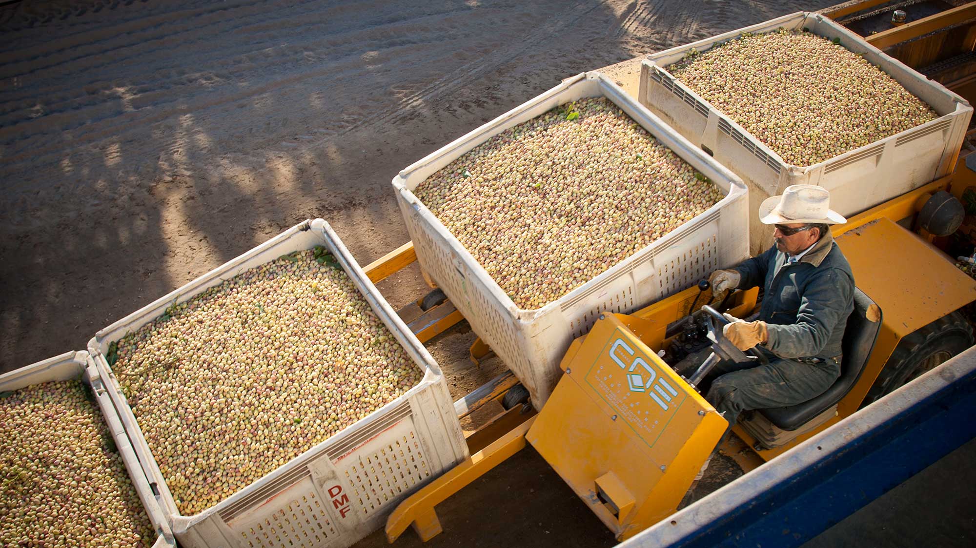 Trump S Trade War Is About To Screw Over California S Remaining   20180410 Pistachiofarmer 