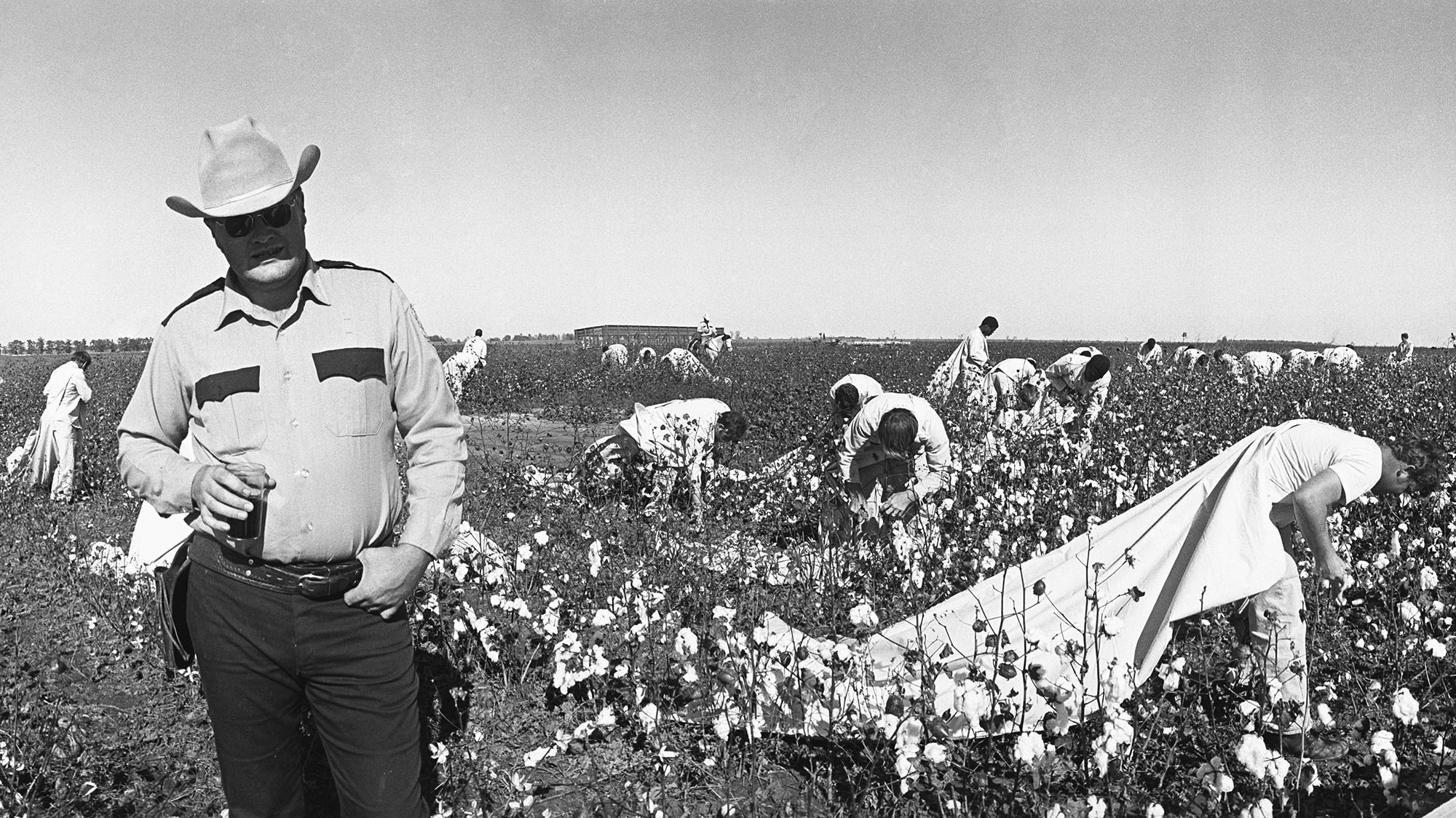 How Long Is A Cotton Picking Minute