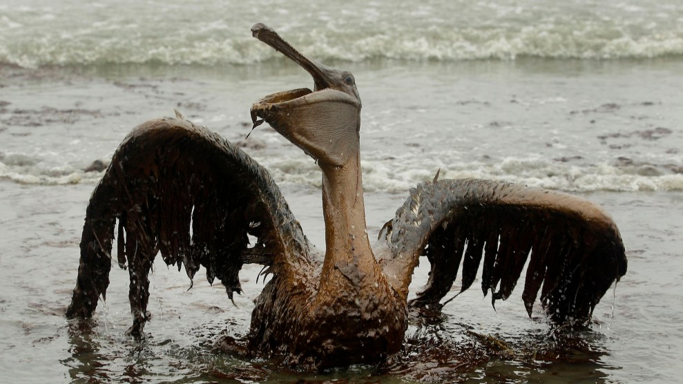 Nine Years Later, the BP Oil Spill's Environmental Mess Isn't Gone – Mother  Jones
