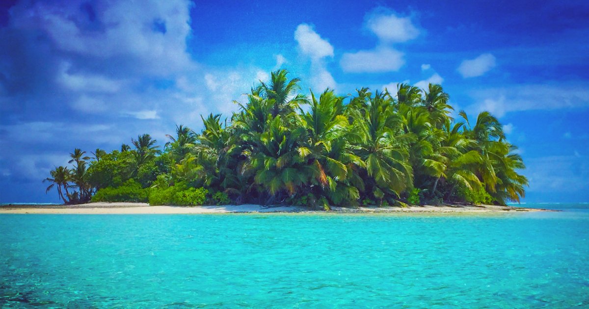 Most Islands Don't Actually Have Palm Trees on Them - Atlas Obscura