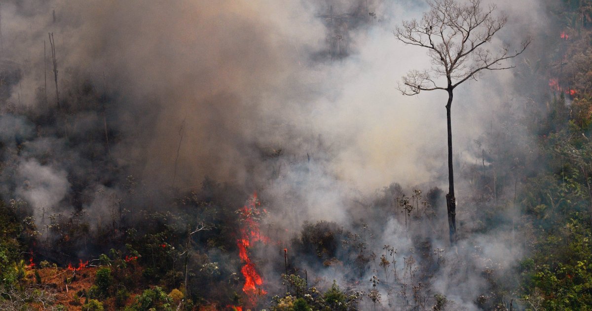 Look No Further Than Brazil S Amazon Fire For The Dangers Of Deregulation Mother Jones