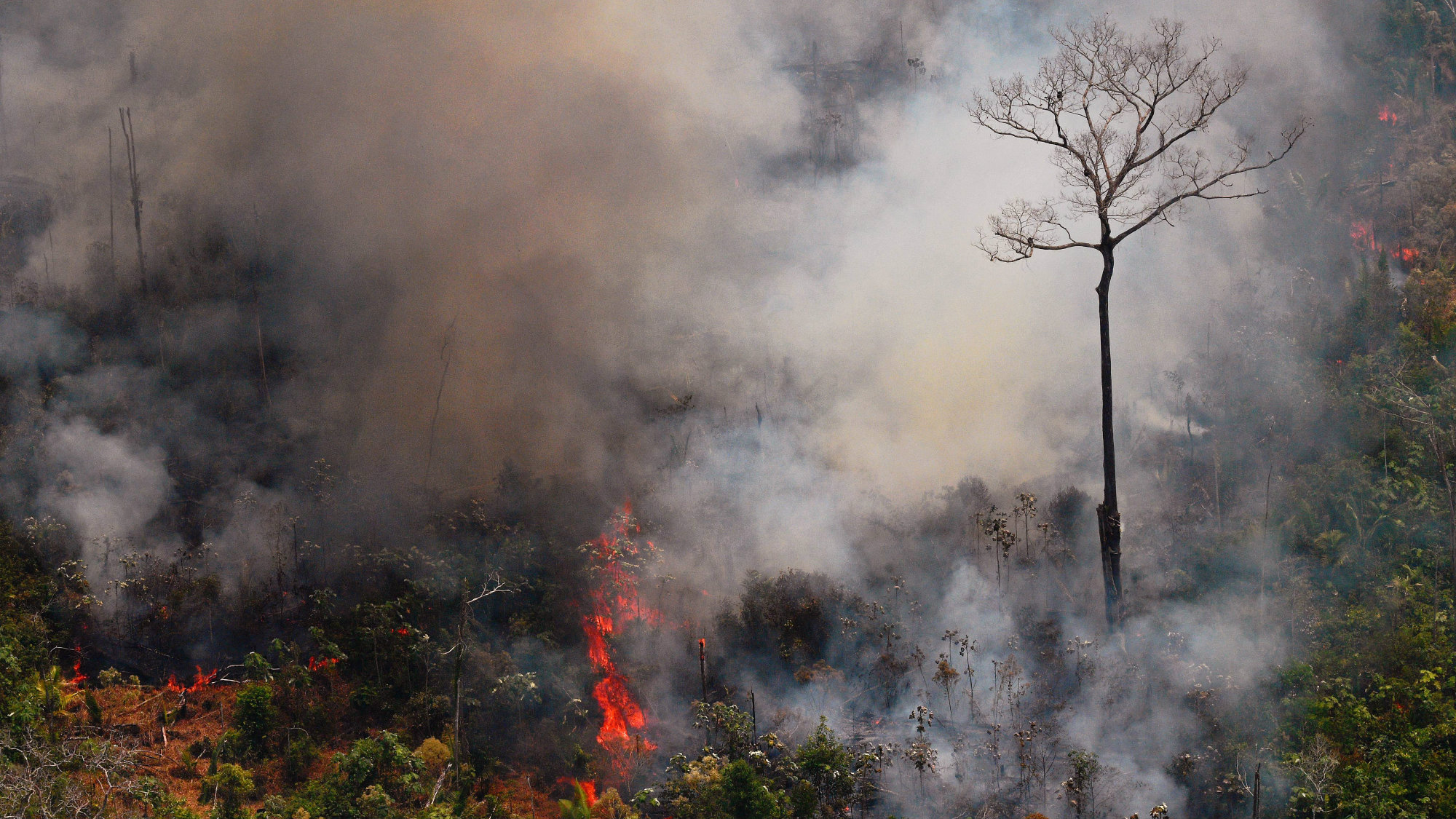 Look No Further Than Brazil’s Amazon Fire for the Dangers of