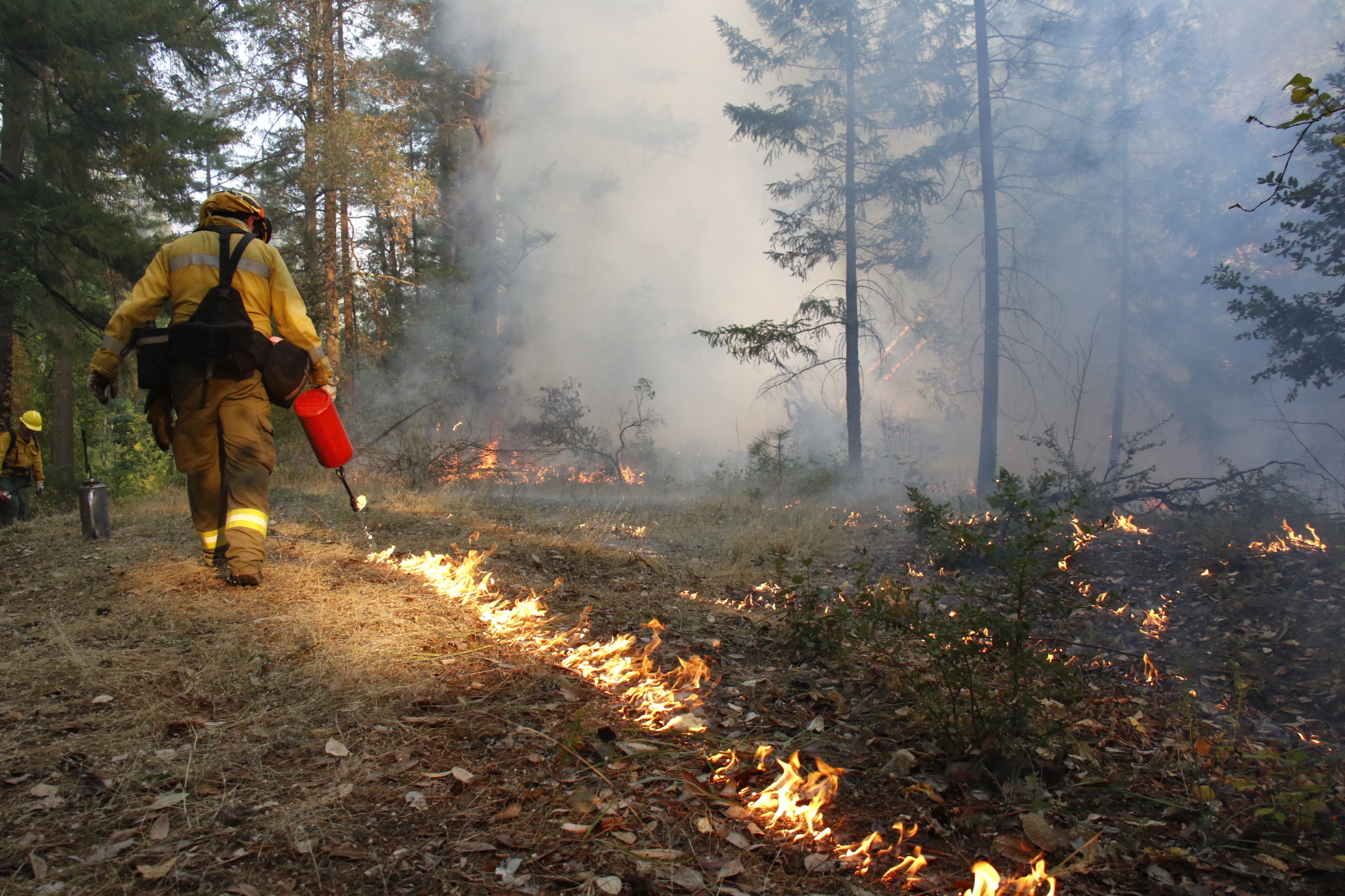 California’s Wildfire Policy Totally Backfired. Native Communities Know