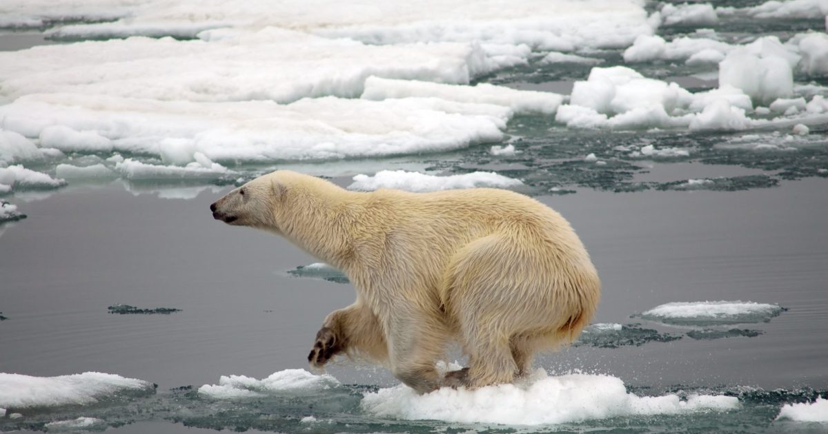 NASA, NOAA Analyses Reveal 2019 Second Warmest Year on Record - NASA