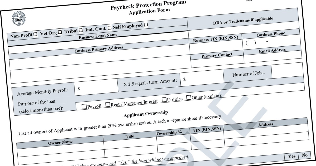 Paycheck protection program application