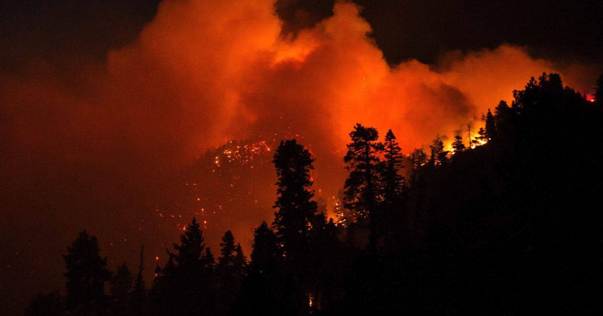 These 5 Stats Show Just How Devastating California’s Wildfires Have ...