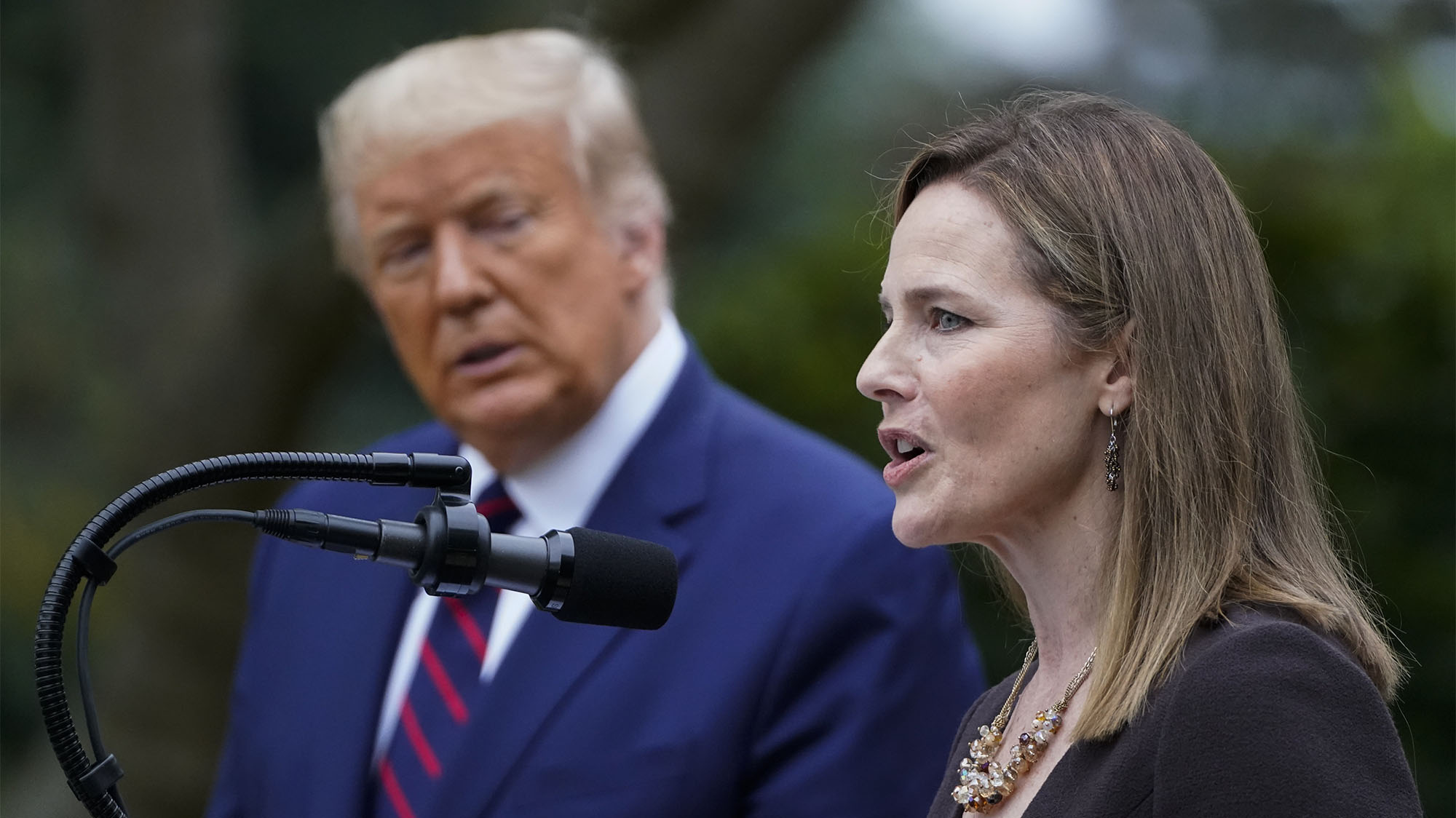 Trump Wants a Repeat of Bush v. Gore. Amy Coney Barrett Might Make It ...