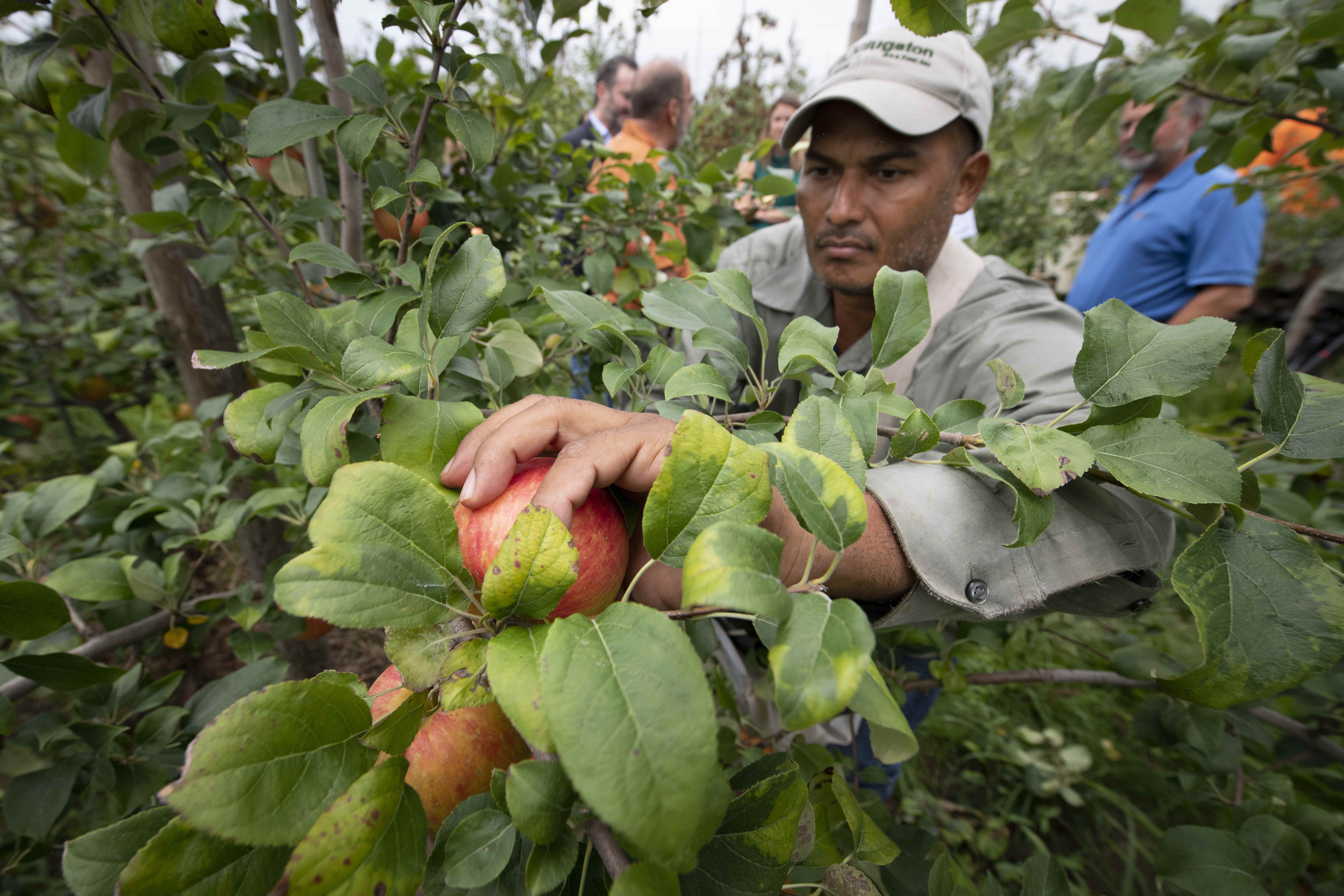 what-california-s-farmworkers-can-teach-us-during-a-season-of-giving