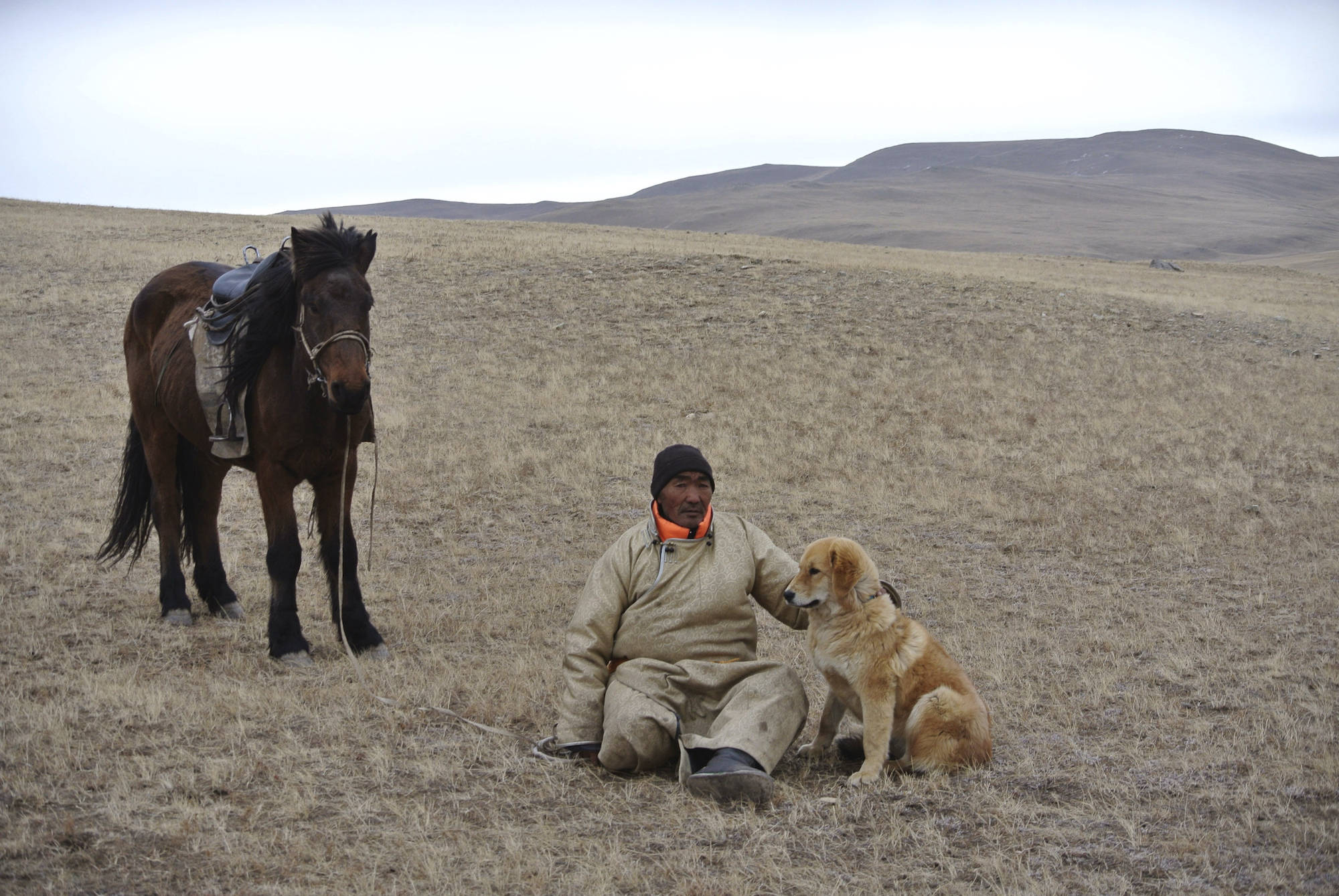 Монгольский банхар охота