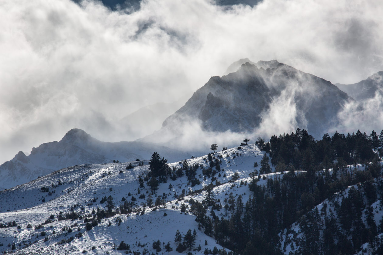 Climate Change Is Driving Jarring Changes At Yellowstone National Park ...