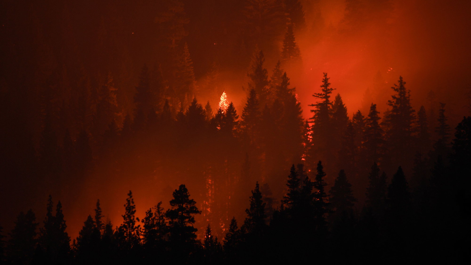 A century of fire suppression is worsening wildfires and hurting forests -  CBS News