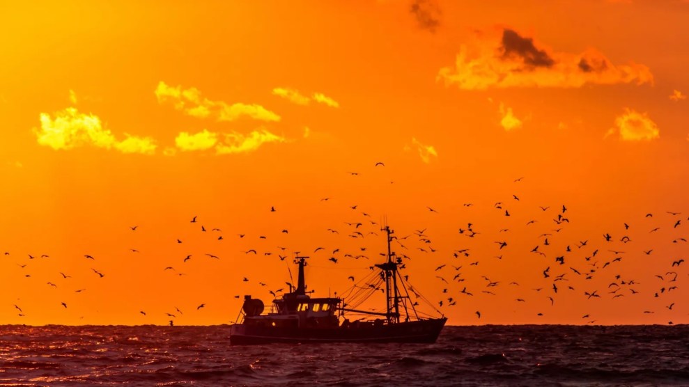 How Heat-Shattering Ocean Temperatures Impact Fisheries – Mother Jones