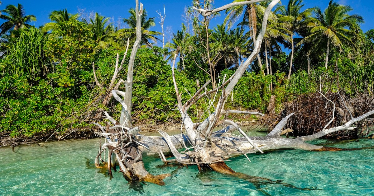 Small Island Nations Take World’s Biggest Emitters to Court – Mother Jones