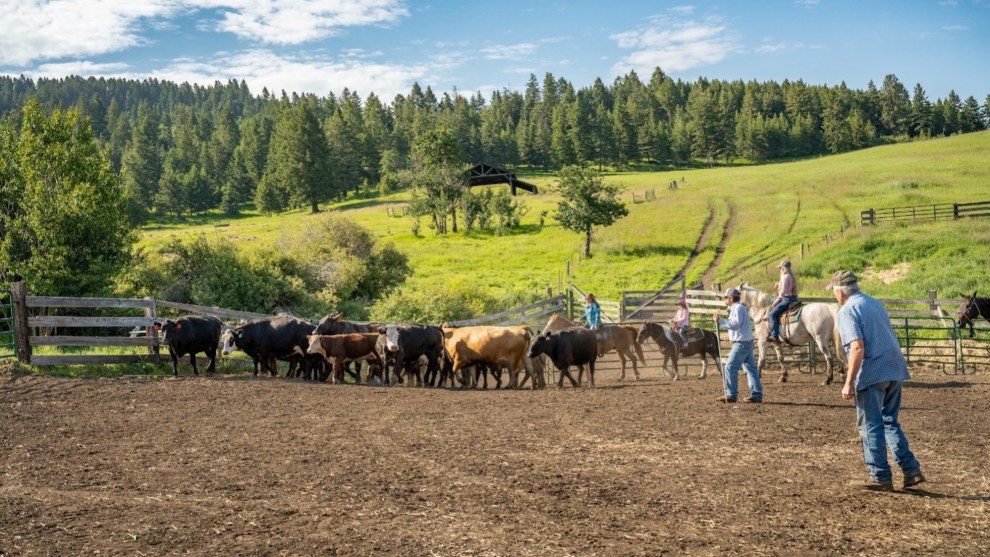 In recent decades, agricultural land has given way to urban sprawl. The US is losing farmland at an alarming rate: About 2,000 acres are now being lost every day. Projections suggest that over 18 million acres of agricultural land could be converted or compromised between 2016 and 2040.