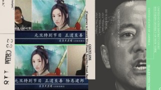 Ya Li, a former top supporter of accused fraudster Guo Wengui, used the avatar of the Disney character Mulan in virtual meetings with Guo followers.