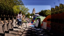 A bicyclist cycles past a tent encampment in White Plaza in support of Palestinians, at Stanford University. The image is repeated and expanded into the background.
