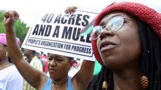 Reparations demonstrators hold sign reading, "40 Acres and a Mule"