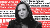 An image of Vice President Kamala Harris layered over a wall of headlines that visualize the depraved attacks against her. One of the headlines reads: America may soon be subjected to the country’s first DEI president: Kamala Harris. Another headline says: Newsmax’s Sebastian Gorka on Kamala Harris: “She's a DEI hire. She's a woman. She's colored.”