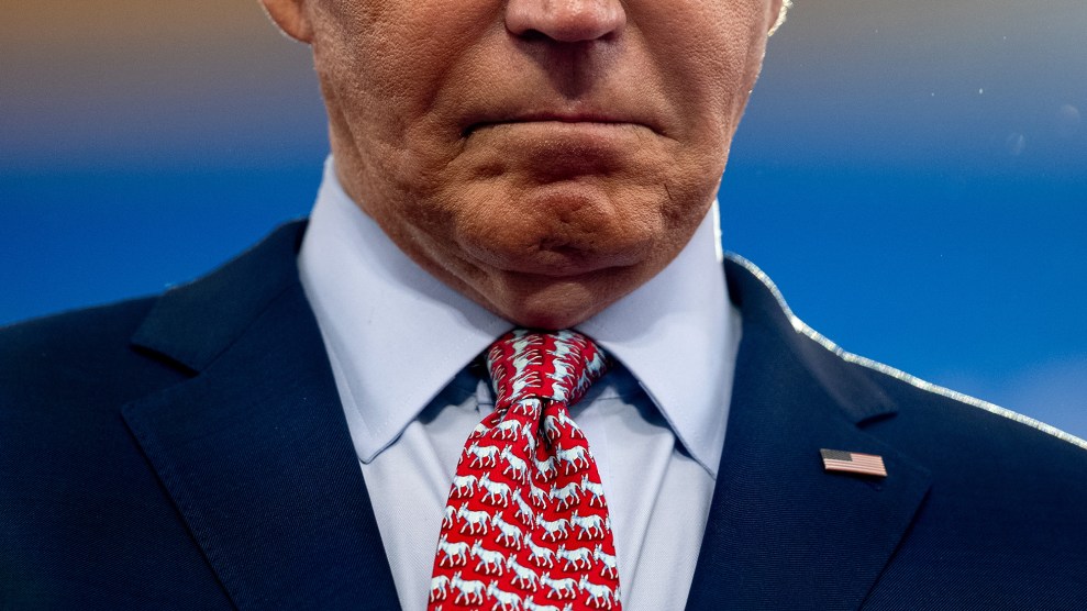 U.S. President Joe Biden wears a tie depicting tiny donkeys.