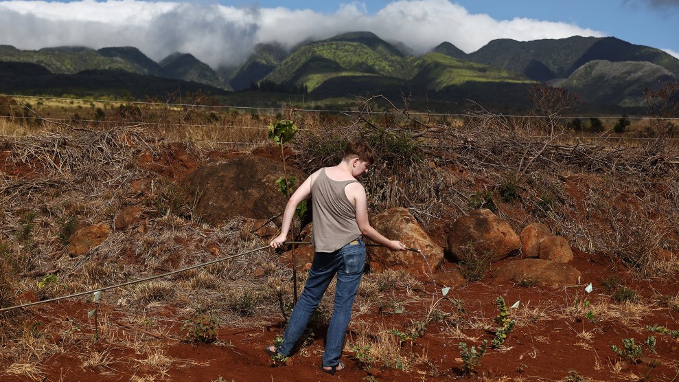 A person wearing a tank top holds a garden hose, watering burned land with mountains and clouds in the background.