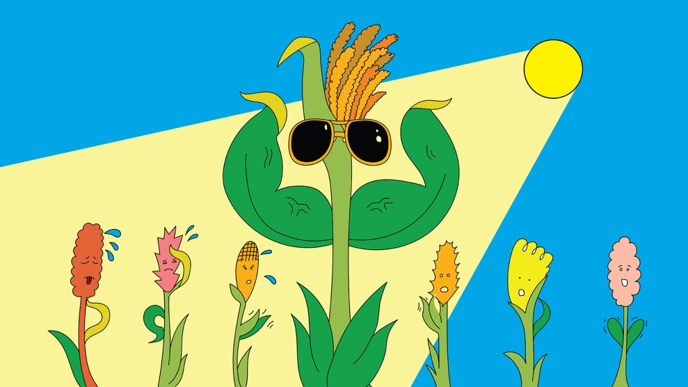 Illustration of various plants sweating and struggling in the heat of the sun; in the center is an personified fonio plant wearing sunglasses, which flexes its muscular biceps and appears to thrive in the blazing sun.