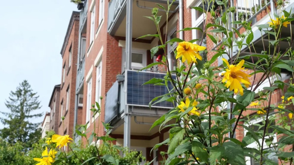 Behind some yellow flowers is a balcony with solar panels lining its outside.