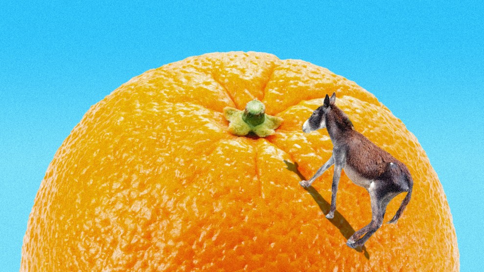 A donkey climbing up a giant orange