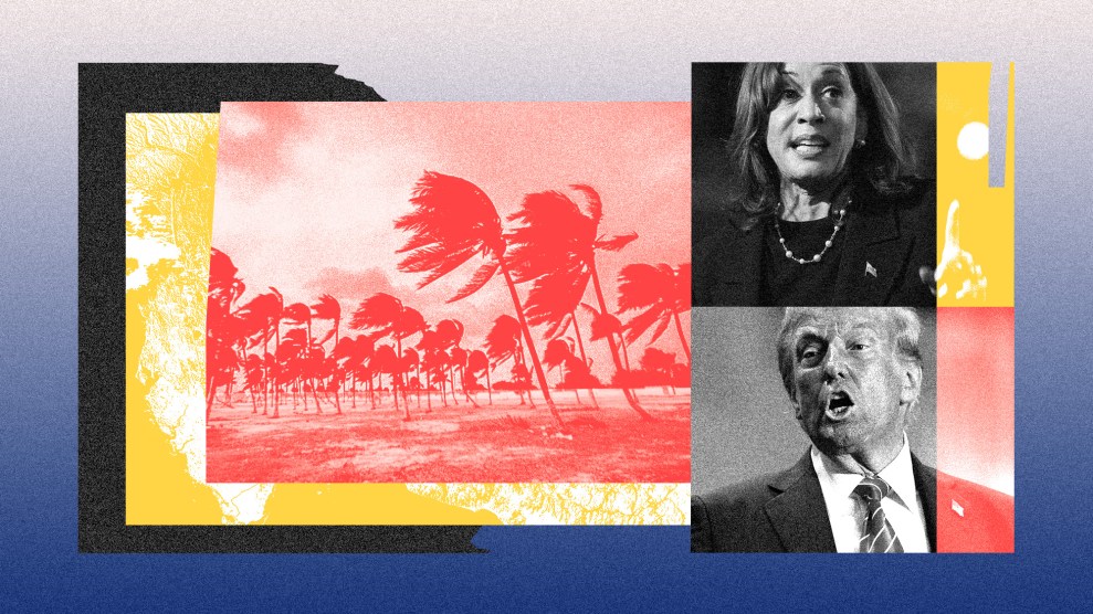 A collage with a gradient background transitioning from deep blue at the bottom to light gray at the top. In the center, a red-tinted image shows palm trees leaning sharply to the left due to extreme weather or a storm, set against a cloudy sky. To the right, two black-and-white portraits are stacked vertically: the upper portrait shows Vice President Kamala Harris with a serious expression, while the lower portrait features former President Donald Trump, speaking with his mouth open mid-sentence. Yellow and red graphic elements frame parts of the collage, adding color contrast.