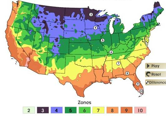 1990 USDA plant hardiness: USDA