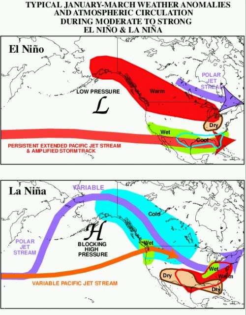 Compare the position of the polar jet stream [purple] in these images of a typical El Niño and a La Niña, with the jet further south for La Niña. : NOAA/Wikimedia
