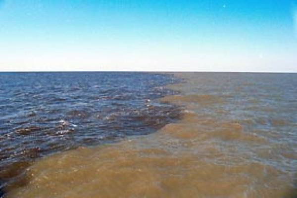 Mississippi River sediment in the Gulf of Mexico.: NASA