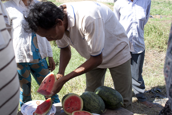 Nhan cuts up melon.: Kate Sheppard
