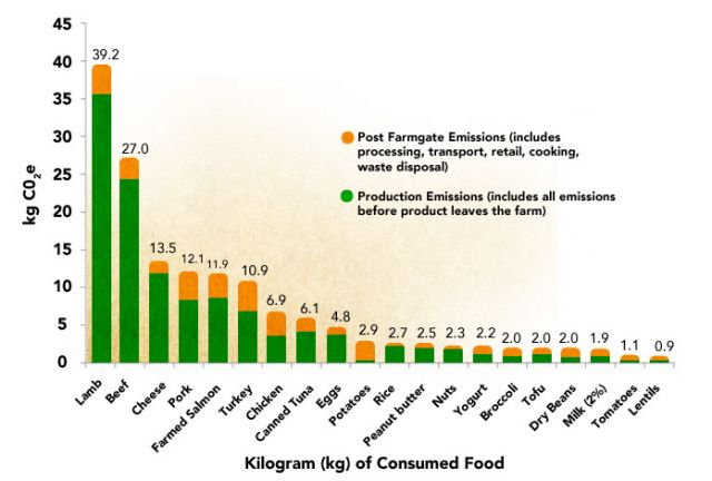 Big Mac Attack: Changing the climate one burger at a time. 