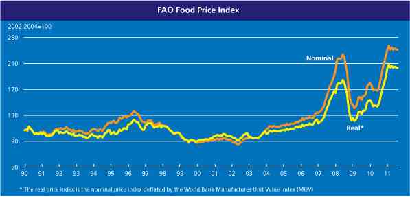 The explosive growth in food prices cannot be explained by supply and demand. : Graph: FAO