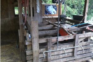 The Posts' pig pens (for feeding time).