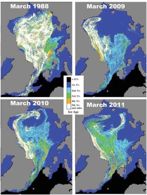 Sea ice age in the first week of March derived from tracking the drift of ice floes in 1988, 2009, 2010 and 2011. : Figure courtesy of J. Maslanik and C. Fowler, via NOAA.