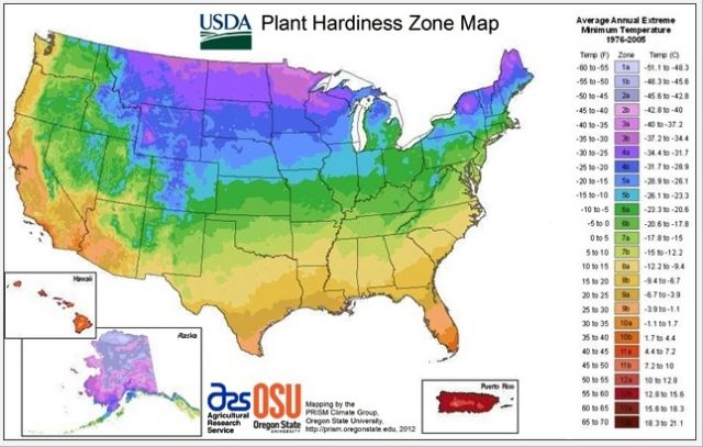 2012 plant hardiness zone map: USDA and Oregon State University