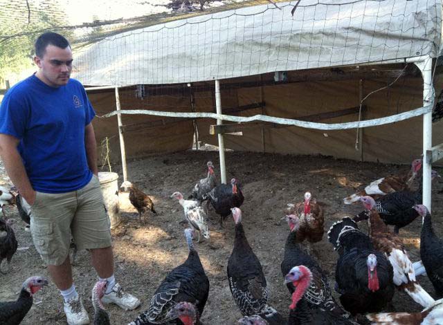 4H alum Zach Thode and his family's heritage turkeys in Sebastopol, California